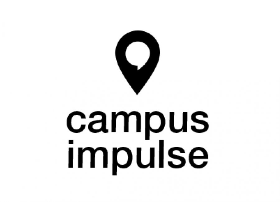 Lisa Schröck Branding Campus Impulse